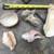5 Seashells (All for $10) 2 thumbnail