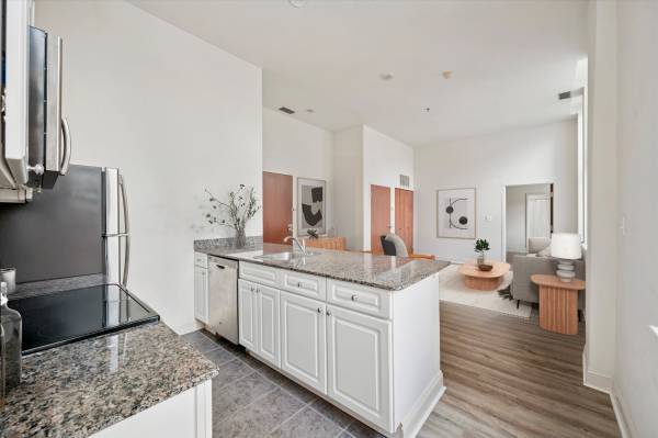 $1,850 / 1br - 700ft2 - Renovated 1 Bedroom Available Now in a doorman building! (Center City)64046036883203124