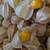 Golden Berry Plants 1 thumbnail