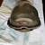 VINTAGE MERCEDES EUROPEAN 280 300 HEADLIGHTS 19 thumbnail