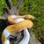 Ball python and boa 9 thumbnail