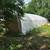 Greenhouse 3 thumbnail