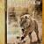 Nice: Audubon Society 1st Edition (1985) Wild Cats Large Book-(Hend.) 1 thumbnail