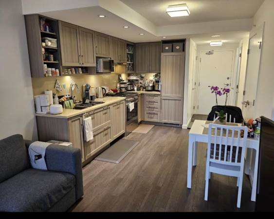 1Bedroom & Den Condo 1
