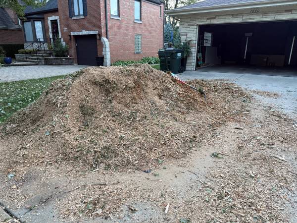 Free wood chips/mulch 1