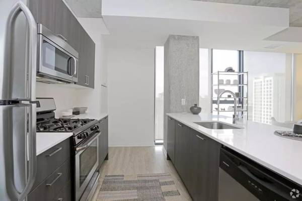 $2,266 / 1br - SOUTH LOOP 1 Bedroom w/ Balcony + Hardwood Floors + In-Unit W/D (South Loop, Chicago)63898986539778124