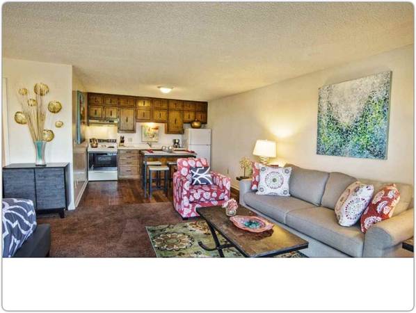 $739 / 480ft2 - Perfect student living! Studio  - near the university. (Huntsville)63801859628929121
