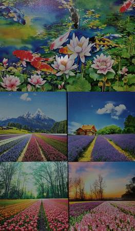 Stretched canvas on wood paintings painting pictures 1