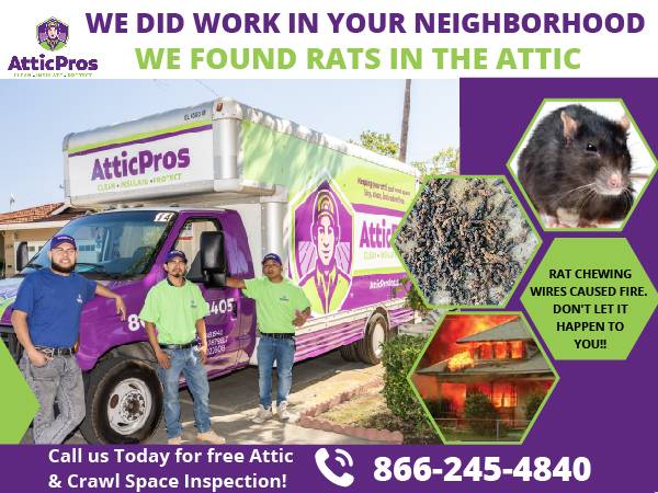 SF Attic & Crawl Space Cleanup – Rodent Issues? Free Estimate 1