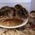 4 guinea keets 1 thumbnail