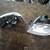 2004 Volkswagen Passat station wagon headlights 2 thumbnail