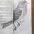 National Audubon Society/Field Guide to Birds/Eastern Region. 1997 5 thumbnail