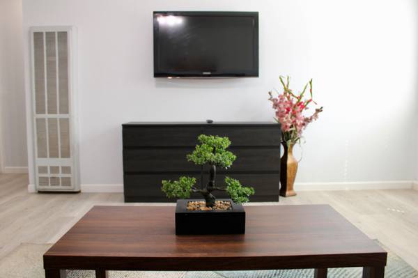 $2800.00 / 2br - 800ft2 - Furnished 2BR in Castro Valley – In-Unit Laundry, Parking, Pet-Friendl63933765925123121