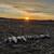 Does Any body have duck or goose decoys they want to sell 1 thumbnail