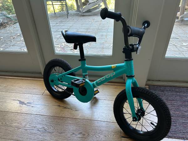 Kids pedal bike REI Coop Rev 12 inch 1