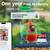 Bird Feeder with Camera, 1 Year Free AI Bird Feeders for Outdoors, Solar Powered 9 thumbnail