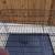 Heavy Duty XL Wire Dog Cage 2 thumbnail