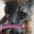 Baby kittens 1 thumbnail