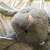 Large adorable plush rabbit 4 thumbnail