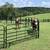 ROUND PEN*CORRAL PANELS*CATTLE PANEL* FARM GATES*HAY FEEDERS*DIRECT 2 thumbnail