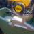10in DeWalt Miter Saw Dual Bevel 1 thumbnail