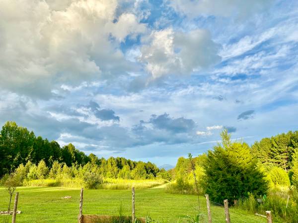 $675,000 33 acres totally private IMPROVED LAND (Trinity NC)64027278375555122