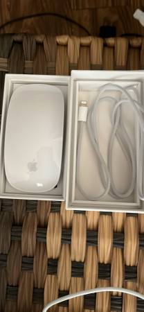 Apple Magic Mouse 1