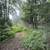 4+ Acres on Little Turtle River 13 thumbnail