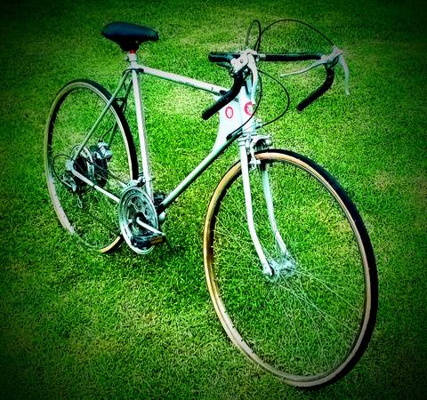 Team USA Road Bike 1