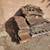 Roofing Material Supplies - Shingles + (3) 4 ft MARBLE slabs 4 thumbnail