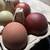 Black Copper Maran and Moss Egger Chickens for sale 5 thumbnail