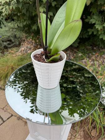 18” Round Mirrors for Table Centerpieces 1