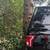 Need tree limbs cut up high 5 thumbnail