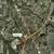 8701 Old Kings Road - 34 Acres For Sale 2 thumbnail