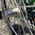 Bacchetta Giro recumbent bicycle 10 thumbnail