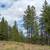 Princeton BC 1.999 Acres Land for Sale by Owner 8 thumbnail