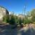 Landscaping Evergreens and Arbrovite 5 thumbnail