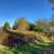 Overgrown acreage, Brush Cutting - Selective clearing 6 thumbnail