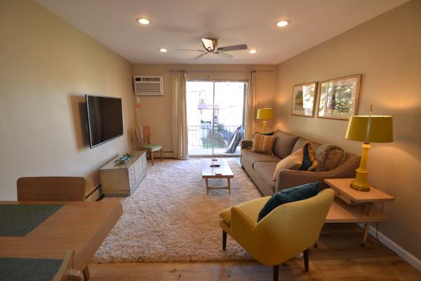 $1,295 / 1br - 600ft2 - R-19 Corp furnished 1 BR center city location (Cincinnati)63974471992450122