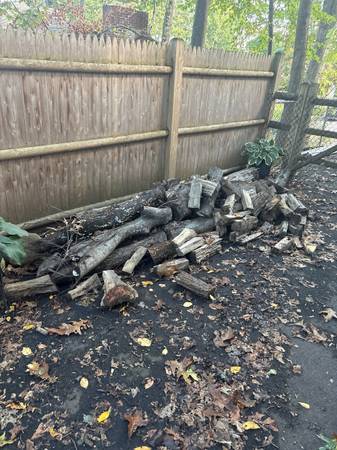 Free firewood 1