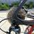 Trek FX5 Sport 3 thumbnail