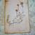 Rosemary, Lavender, Italian Parsley and Other Herb Lithographs Vintage 1 thumbnail