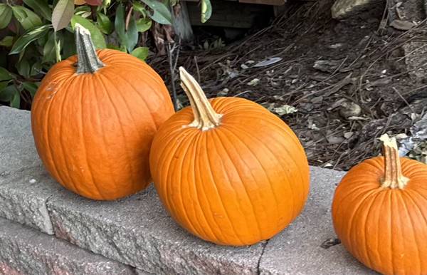 Porch pumpkins 1