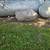 Bolders for landscaping 3 thumbnail