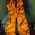 Camouflage Hunting/Working Bibs, Jacket, Shirt, Pants 2 thumbnail