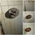 ✅🚿 Faucet, Sink, Toilet, Garbage Disposal Repair & Install ⭐⭐⭐⭐⭐ 5 thumbnail
