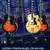 JAZZ BOX / FUSION BLUES GUITAR 2 thumbnail