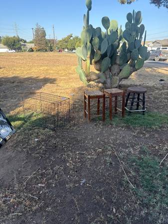 Yard sale photo
