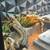 Bearded dragon + Enclosure 3 thumbnail