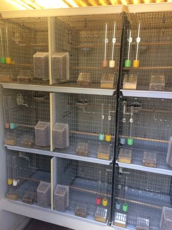 Cages for Canaries (Marina)64009563758467123